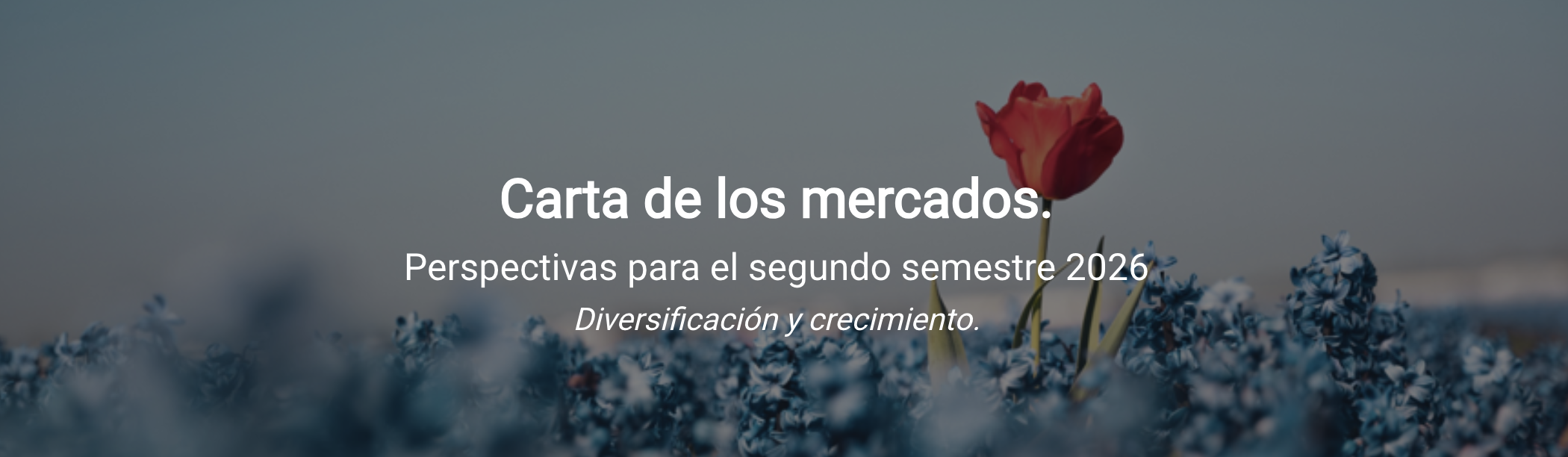 Carta Trimestral de los Mercados